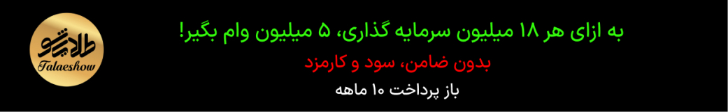 سرمایه گذاری زرینو